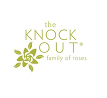 Knock Out&reg; Roses
