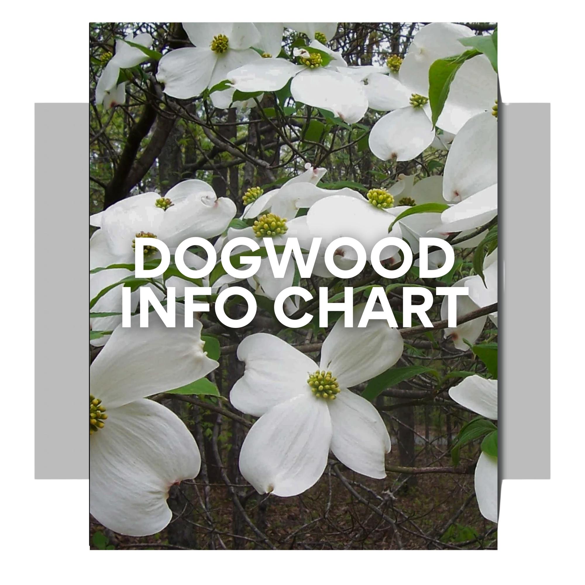 Dogwood Info Chart