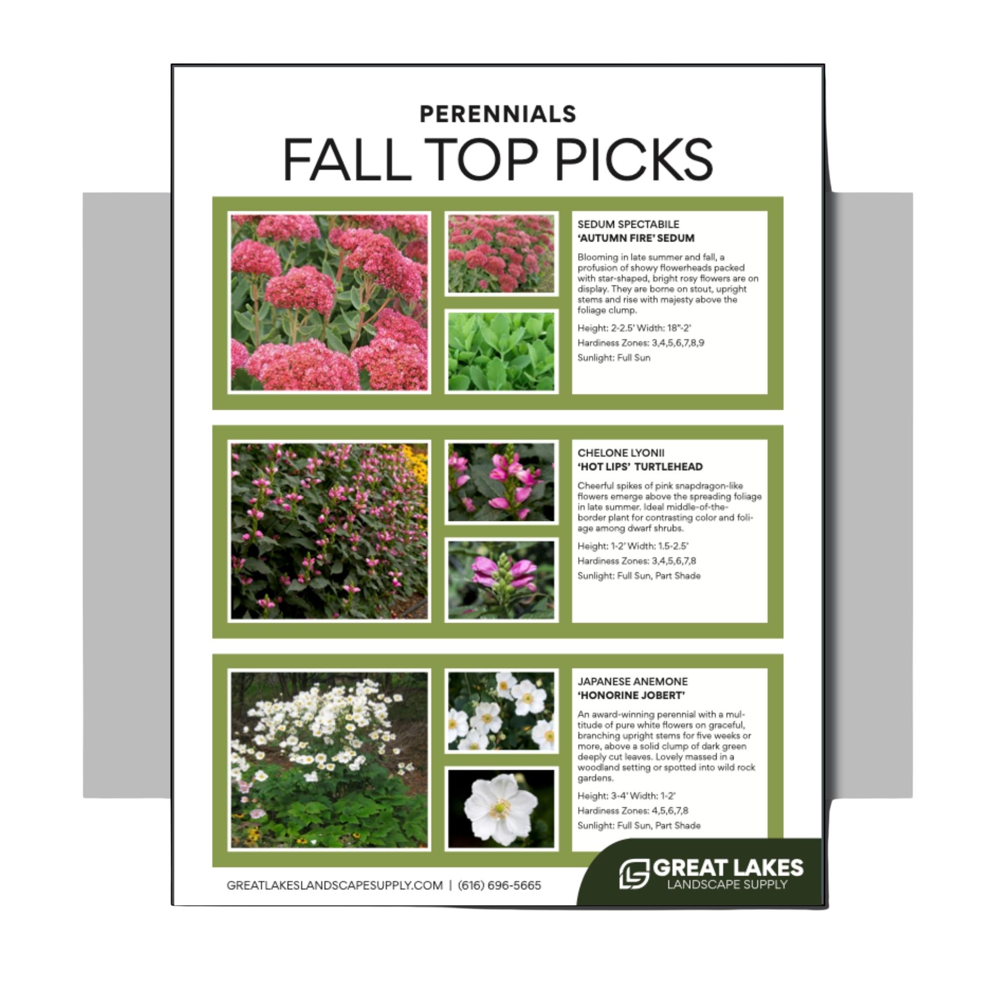 Fall Top Picks
