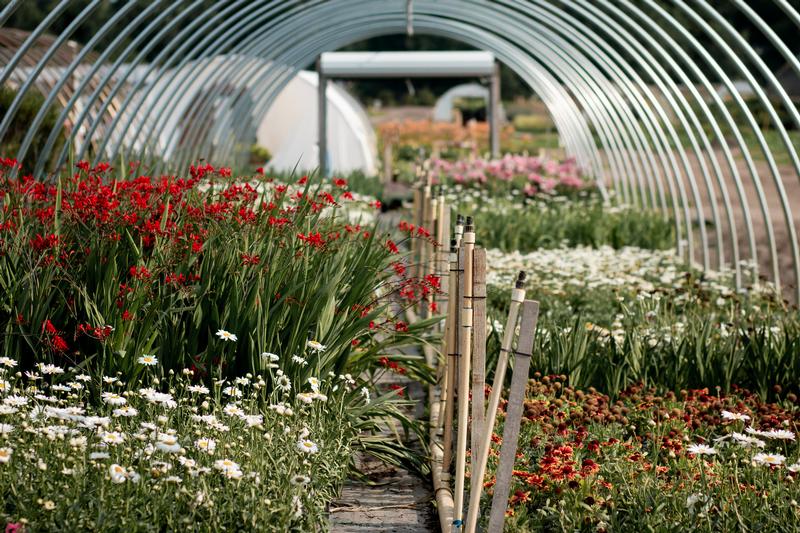 Main Office and Nursery & Natural Stone Yard