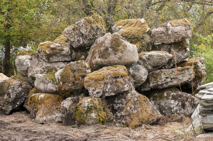 Mossy Boulders