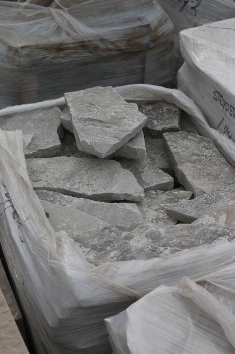 Fond du Lac Silver Steppers