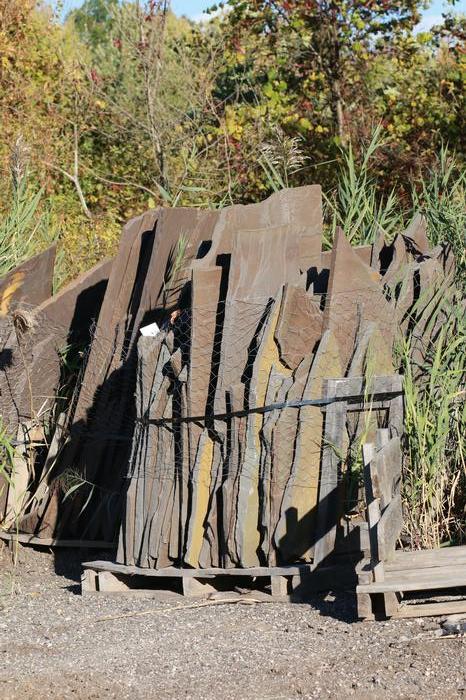 New York Bluestone Lilac