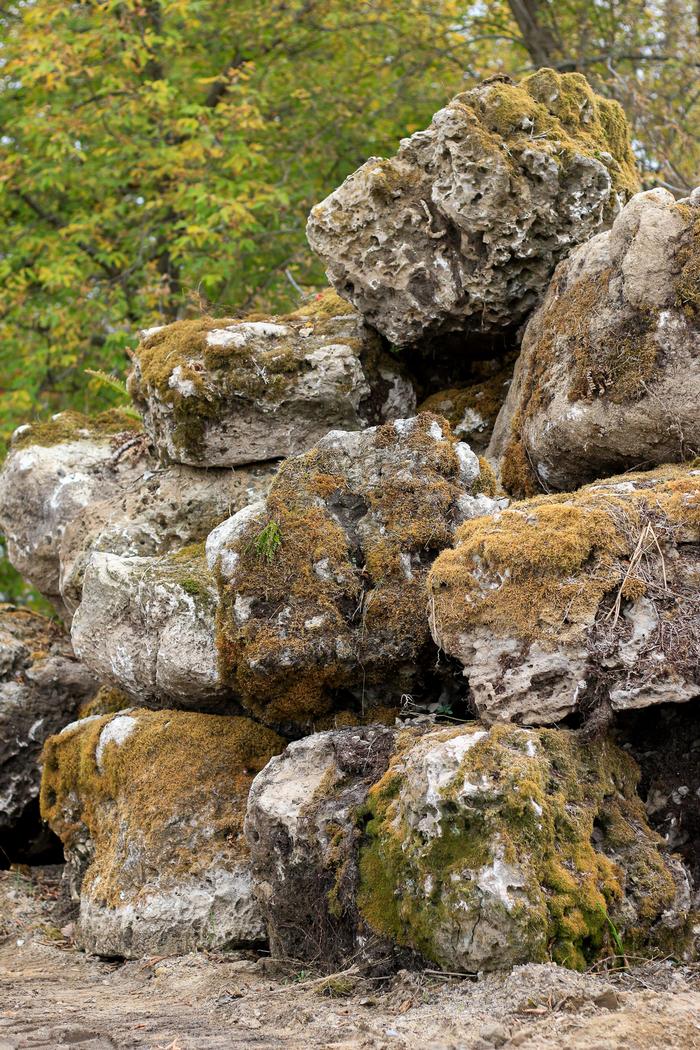 Mossy Boulders