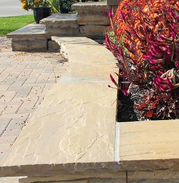 Banas Lavender Coping