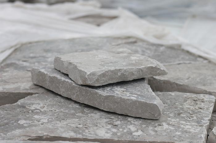 Fond du Lac Silver Steppers