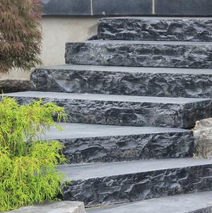 Banas Kota Black Step