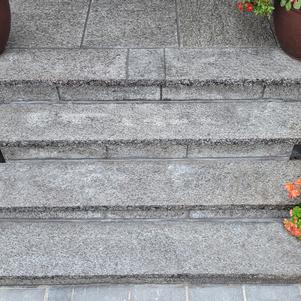 Banas Silver Sapphire Step