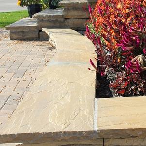 Banas Lavender Coping